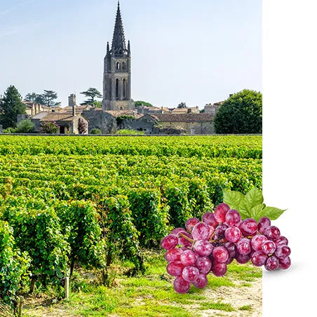 Herkunft Geschichte Tradition Weinberge Weingut Champagnerhaus