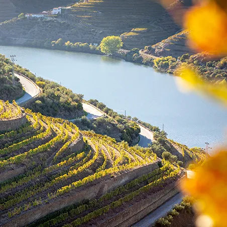 Champagne Region Champagner Weinberge Fluss 